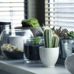 flora-blog-pic-13-1