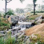 flora-blog-pic-8