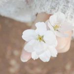 flora-blog-pic-9-3